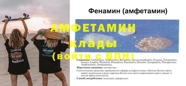 сатива Карпинск