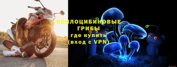 тгк Осинники