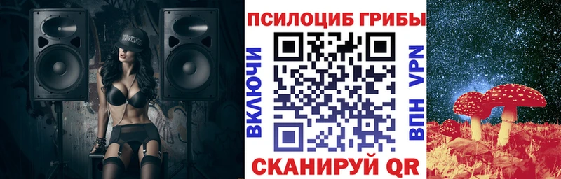 Галлюциногенные грибы Psilocybe  Кумертау 