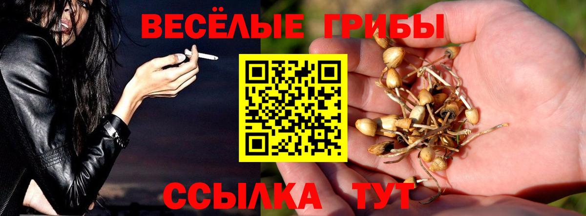 Псилоцибиновые грибы MAGIC MUSHROOMS Кумертау